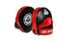 Boxerské lapy DBX BUSHIDO ARF-1118a