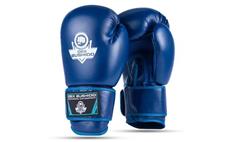 Boxerské rukavice DBX BUSHIDO ARB-407-Blue 10 oz