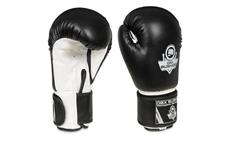 Boxerské rukavice DBX BUSHIDO ARB-407a 12 oz
