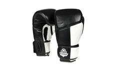 Boxerské rukavice DBX BUSHIDO ARB-431 bílé 14 oz