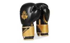 Boxerské rukavice DBX BUSHIDO B-2v10 10 oz