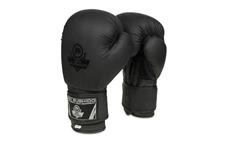 Boxerské rukavice DBX BUSHIDO B-2v12 6 oz