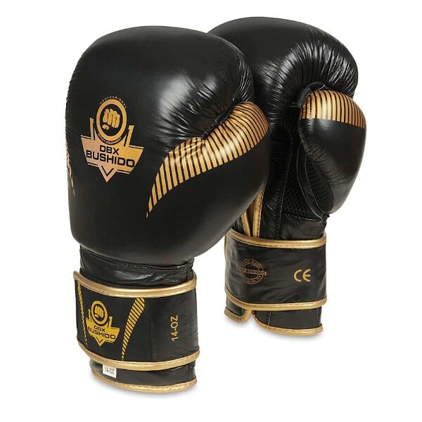 Boxerské rukavice DBX BUSHIDO B-2v13 10 oz Boxerské rukavice DBX BUSHIDO B-2v13 10 oz
