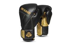 Boxerské rukavice DBX BUSHIDO B-2v14 16 oz