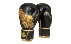 Boxerské rukavice DBX BUSHIDO B-2v17 12 oz