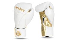 Boxerské rukavice DBX BUSHIDO B-2v19 8oz