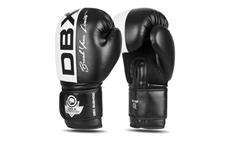 Boxerské rukavice DBX BUSHIDO B-2v20 12 oz