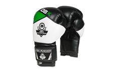 Boxerské rukavice DBX BUSHIDO B-2v6 10 oz