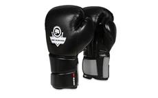Boxerské rukavice DBX BUSHIDO B-2v9 10 oz
