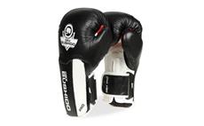 Boxerské rukavice DBX BUSHIDO B-3W Pro 10 oz