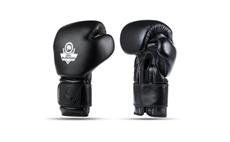 Boxerské rukavice DBX BUSHIDO B-ProFight 14 oz