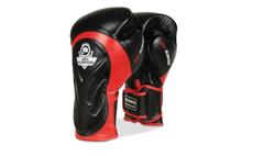 Boxerské rukavice DBX BUSHIDO BB4 14 oz