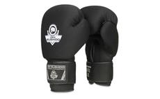 Boxerské rukavice DBX BUSHIDO DBX-B-W EverCLEAN 12 oz