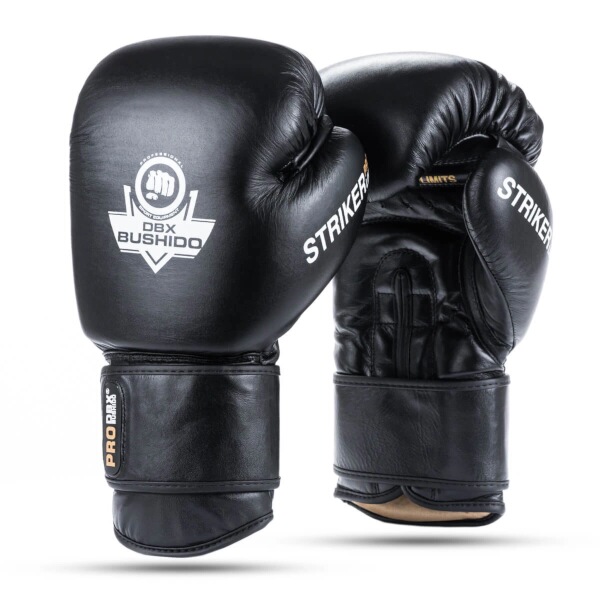 Boxerské rukavice DBX BUSHIDO Striker 14 oz Boxerské rukavice DBX BUSHIDO Striker 14 oz