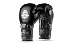 Boxerské rukavice DBX BUSHIDO Warrior BLACK 16 oz