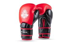 Boxerské rukavice DBX BUSHIDO Warrior RED 16 oz