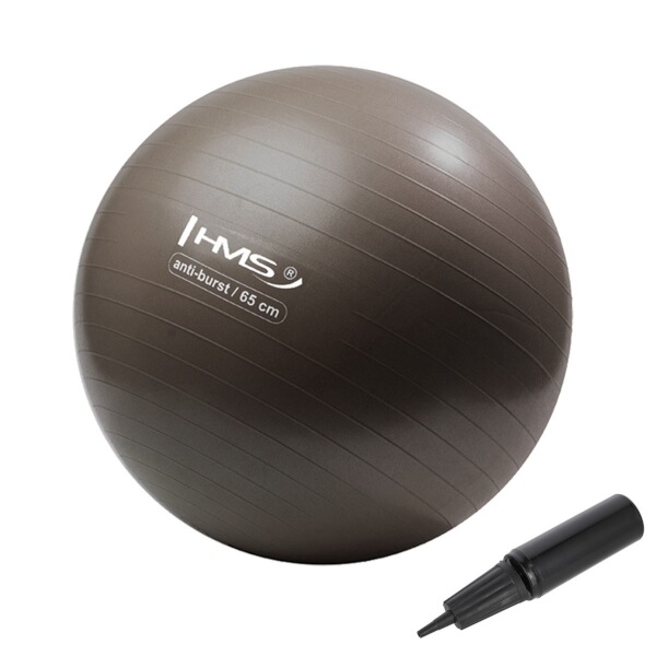 Gymnastický míč HMS YB02N 65 cm bronzový Gymnastický míč HMS YB02N 65 cm bronzový