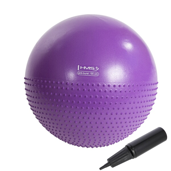Masážní gymnastický míč HMS YB03N 55 cm fialový Masážní gymnastický míč HMS YB03N 55 cm fialový