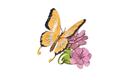 Woodcraft Dřevěné 3D puzzle Motýl na květech barevný 